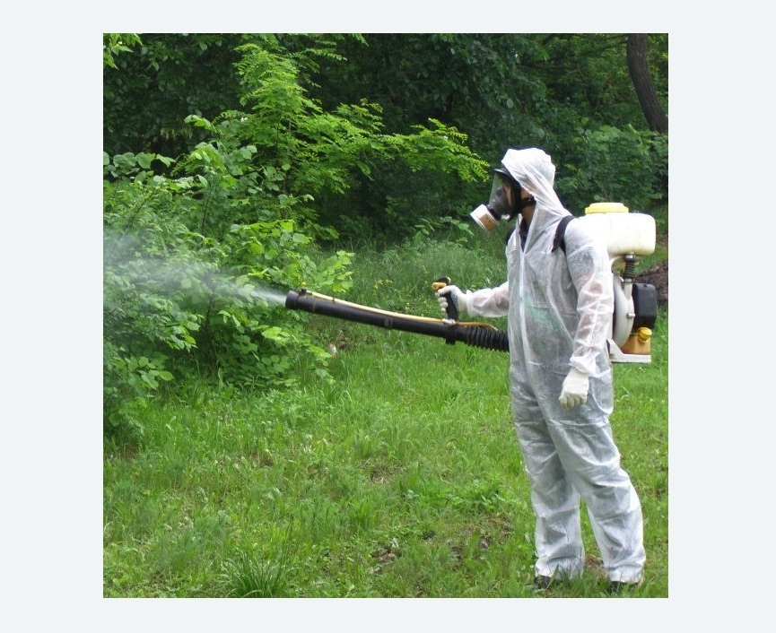 обработка дачи от клещей обработка территории от клещей в Петровск-Забайкальском