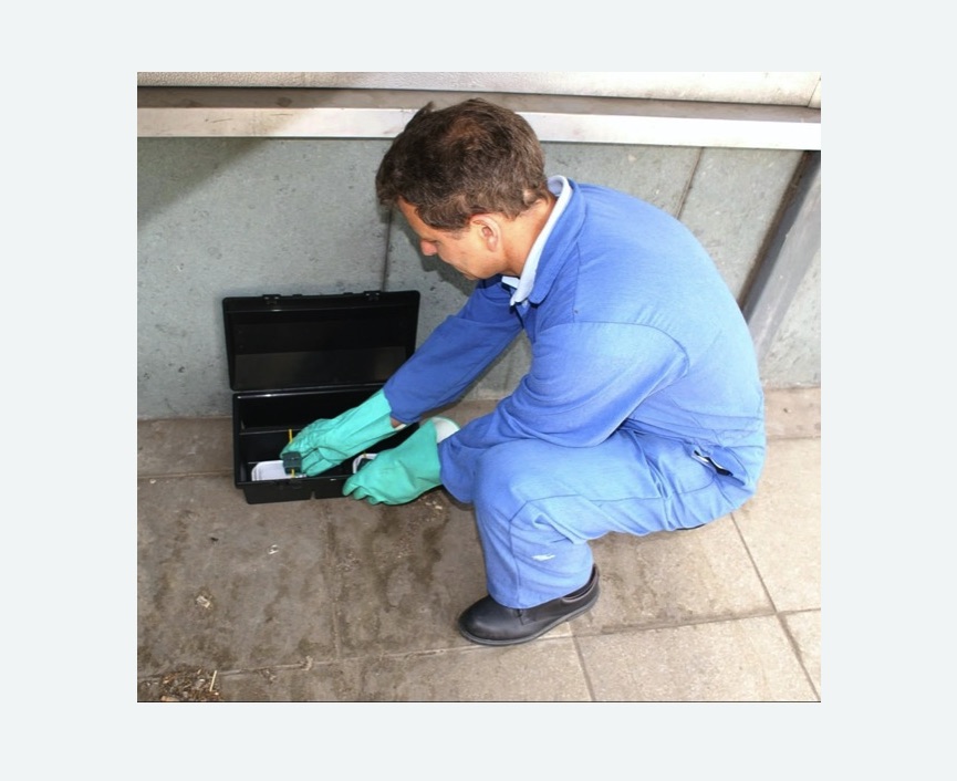 Уничтожение мышей в Петровск-Забайкальском Уничтожение мышей