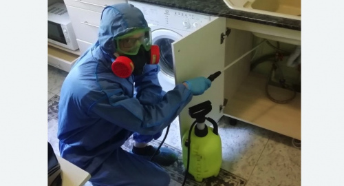 Уничтожение муравьев в квартире. Петровск-Забайкальский
