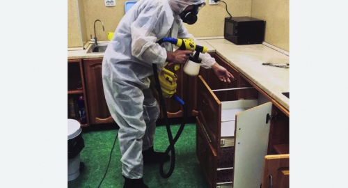 Уничтожение насекомых в квартире. Петровск-Забайкальский