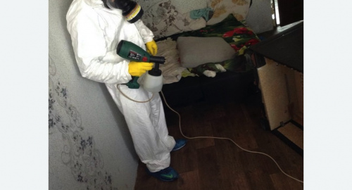 Обработка квартир от насекомых в Петровск-Забайкальском