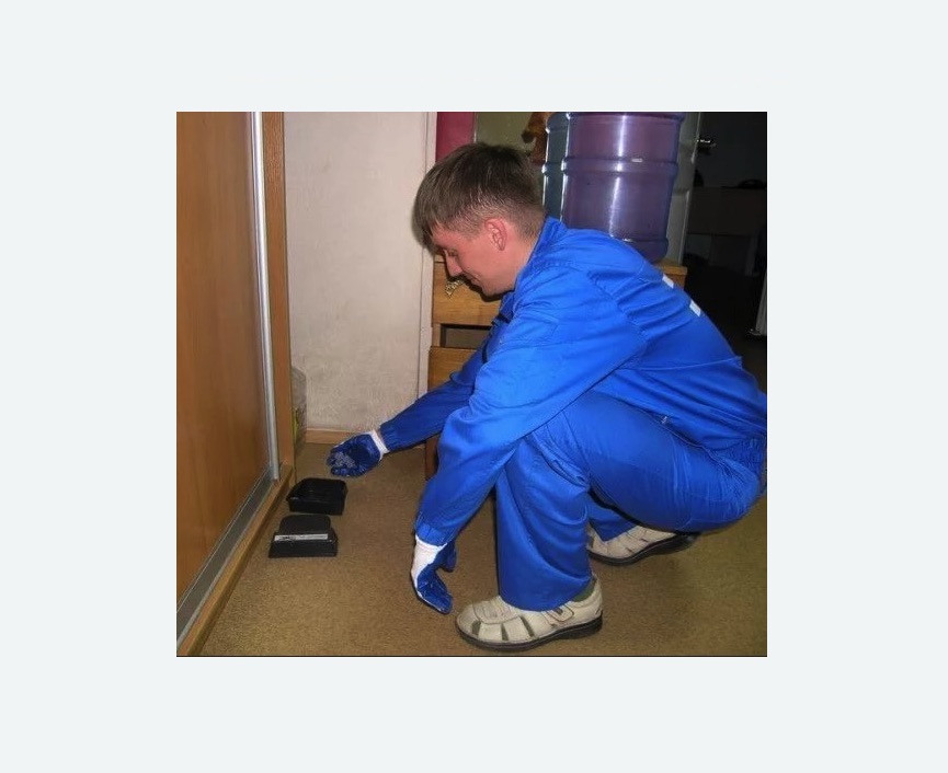 Дератизация крыс Дератизация крыс в Петровск-Забайкальском