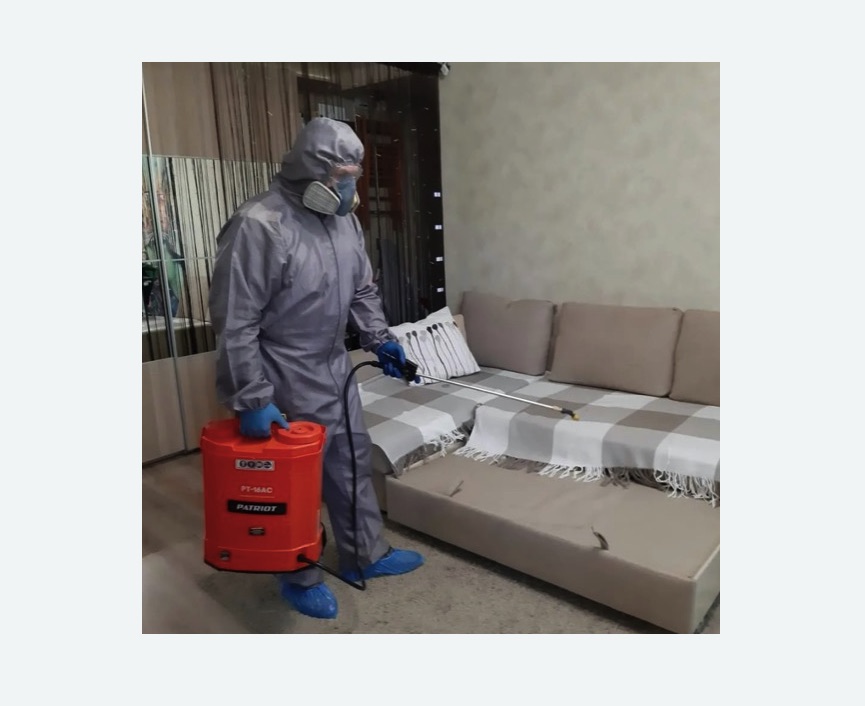 Обработка квартиры от блох в Петровск-Забайкальском Обработка квартиры от блох