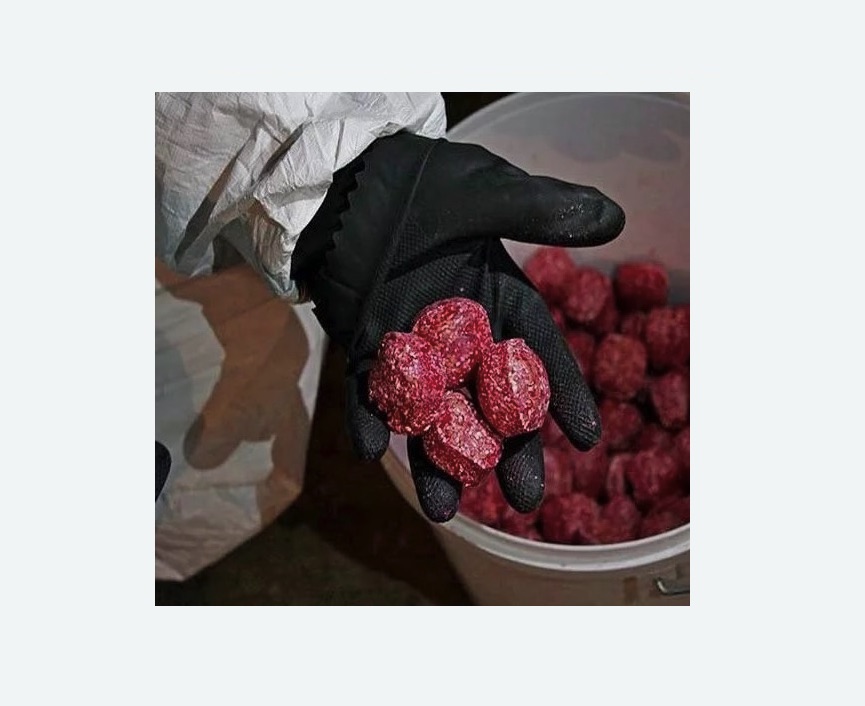 Обработка от крыс Обработка от крыс в Петровск-Забайкальском