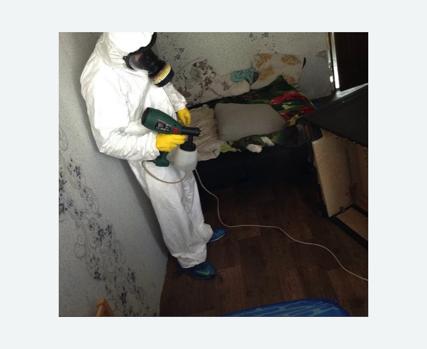 Обработка от насекомых в Петровск-Забайкальском Обработка квартиры от насекомых