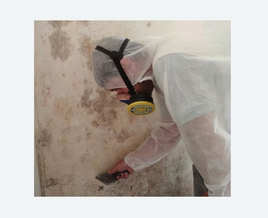 Обработка стен от плесени в Петровск-Забайкальском