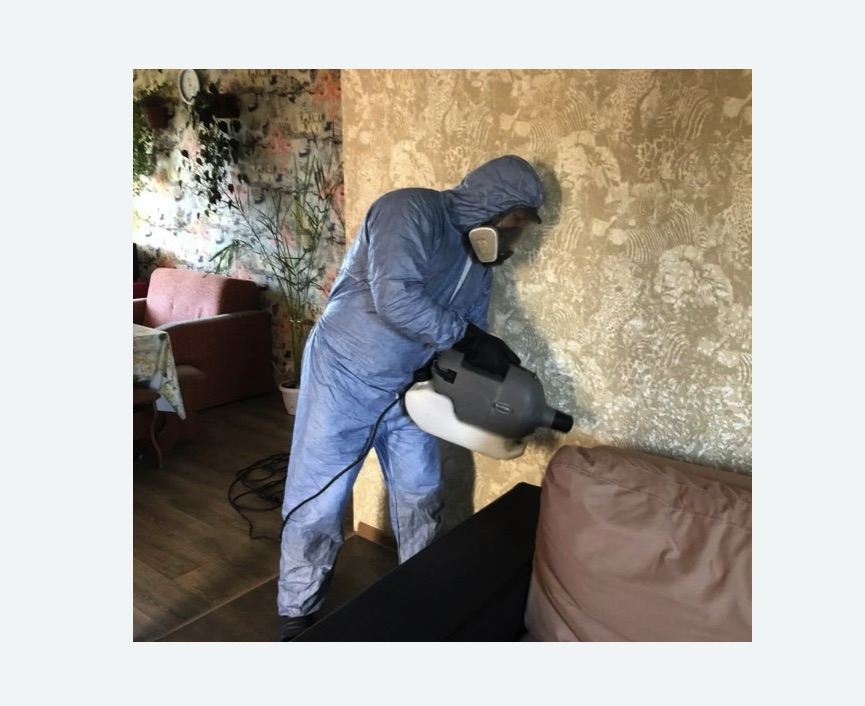 Уничтожение блох в квартире. Петровск-Забайкальский Уничтожение блох в квартире