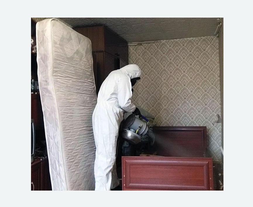 дезинфекция от клопов дезинфекция от клопов в Петровск-Забайкальском