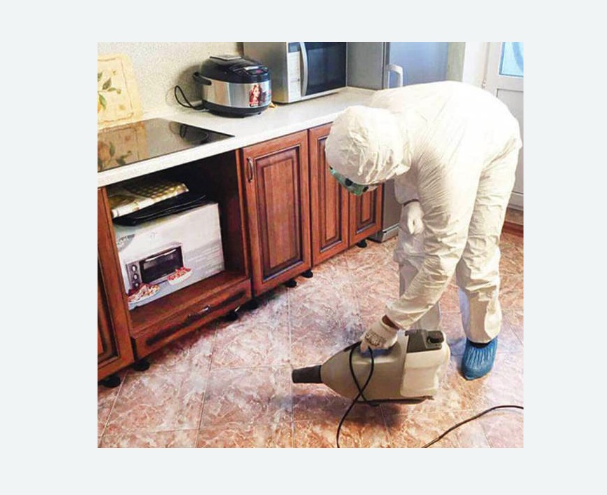 обработка квартиры от клопов в Петровск-Забайкальском обработка квартиры от клопов