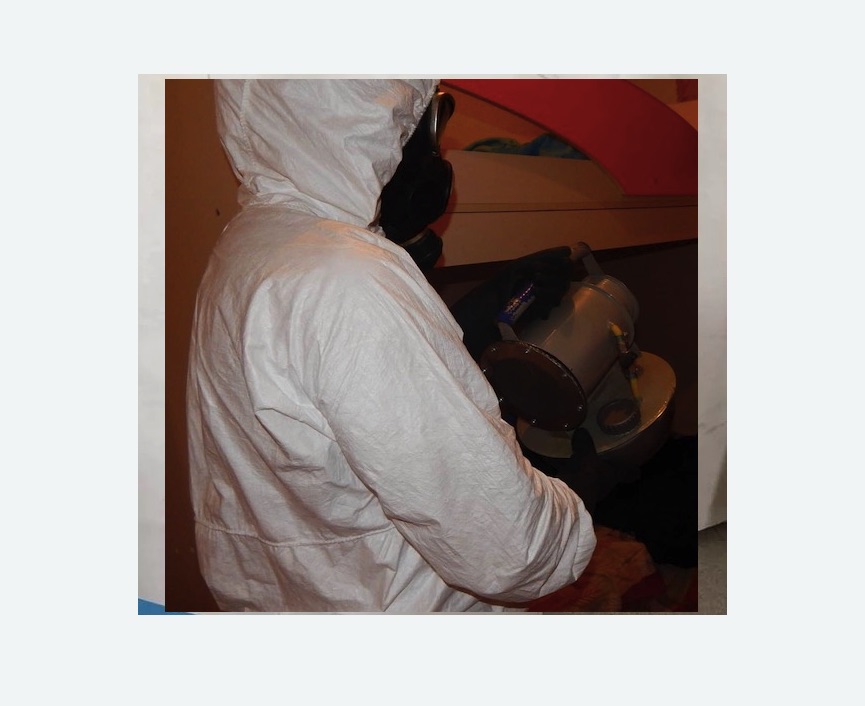 Дезинфекция от муравьев Дезинфекция от муравьев в Петровск-Забайкальском