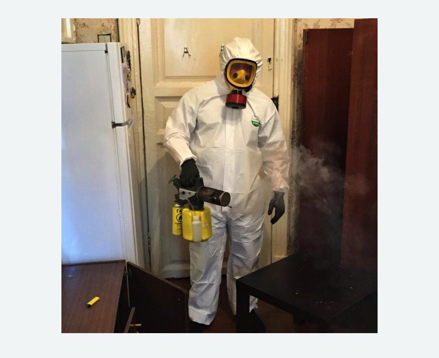 уничтожение муравьев в квартире уничтожение муравьев в квартире в Петровск-Забайкальском